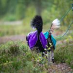 SporttiPalttoo korkeat hannat