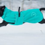 SporttiPalttoo merenvihrea ja taydet liikeradat