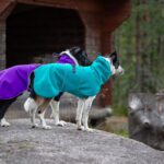 SporttiPalttoo taysvariset syksy 2025