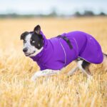 Suomessa valmistettu koiran takki lila SporttiPalttoo