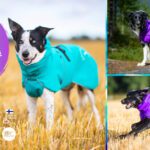 sporttipalttoot syksy2025 cover – 1