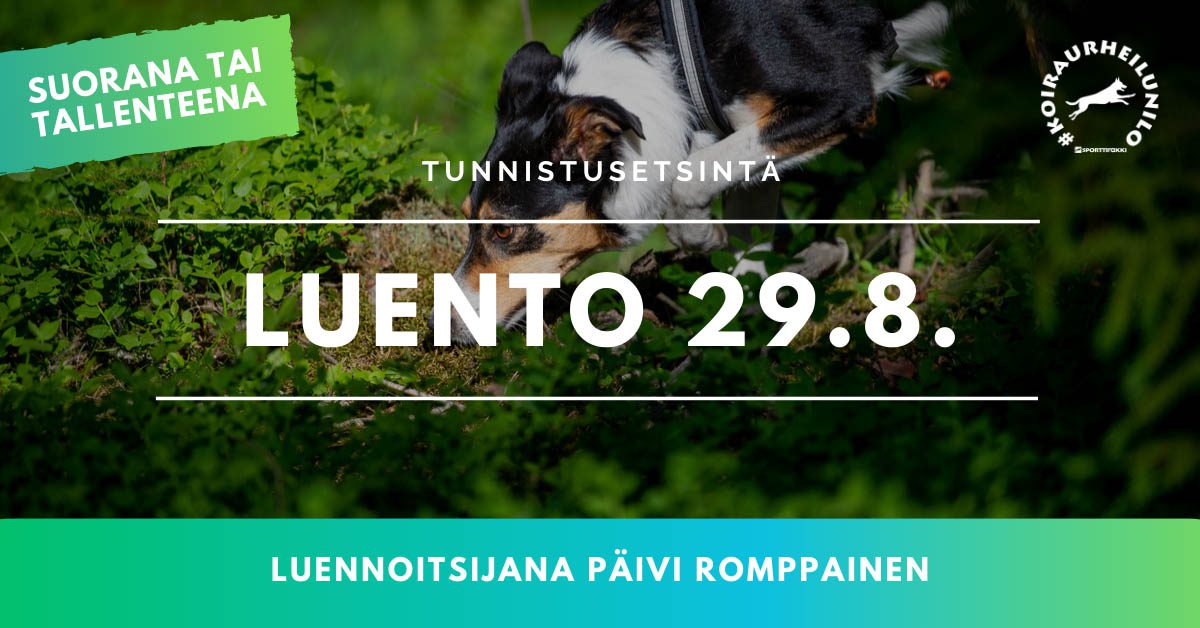 Tunnistusetsintä, nettiluento