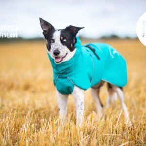 Merenvihreä SporttiPalttoo, kotimainen koiran kuoritakki ja sadetakki välikausikeleille