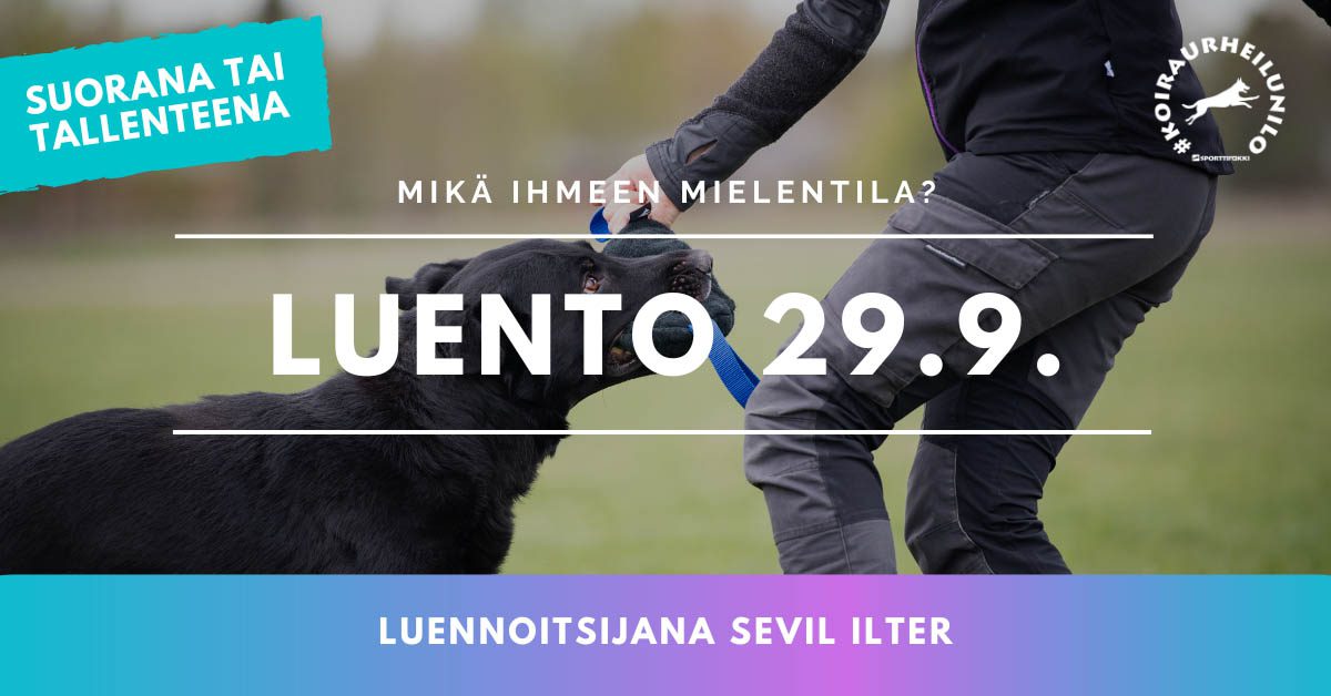 koiran mielentila luento