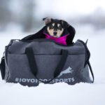 ReissuPakki ja pentu