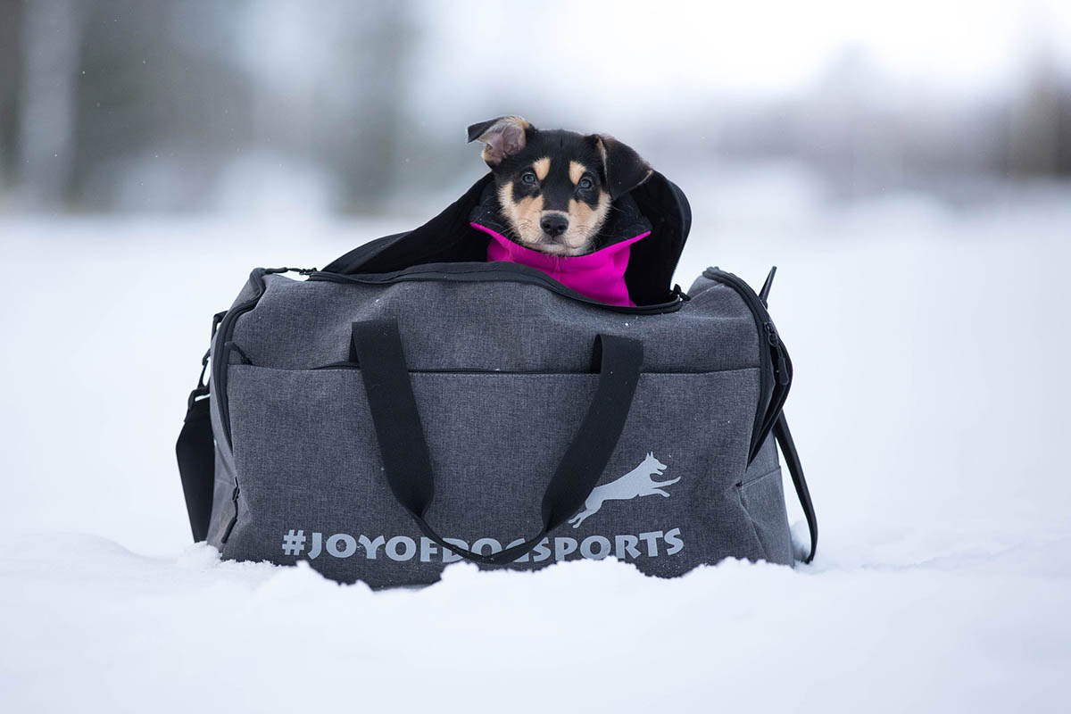 ReissuPakki ja pentu