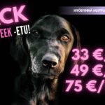 BF2025 jasenyysetu – 1