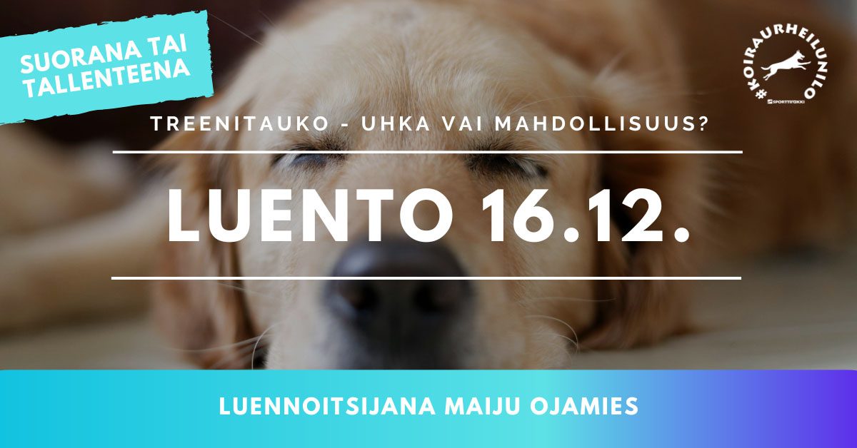 Treenitauko - uhka vai mahdollisuus