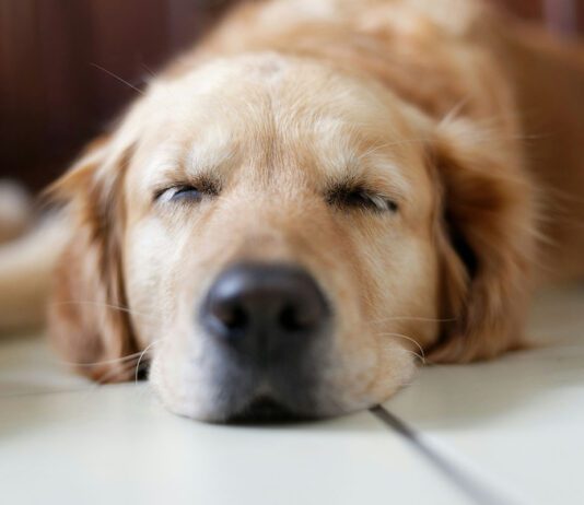 treenitauko uhka vai mahdollisuus luento