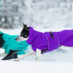 sporttipalttoo cover – 1