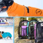 talviale cover 2025-2026 – 1