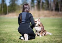 Nettiluento ti 10.2. – Koiraharrastajan mielentila – Maria Matilainen Koiraharrastajan mielentila, nettiluento