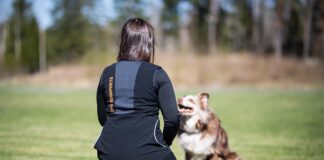 Nettiluento ti 10.2. – Koiraharrastajan mielentila – Maria Matilainen Koiraharrastajan mielentila, nettiluento