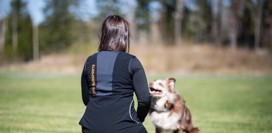 Koiraharrastajan mielentila, nettiluento