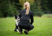 Luento koiran ohjaajana kehittyminen