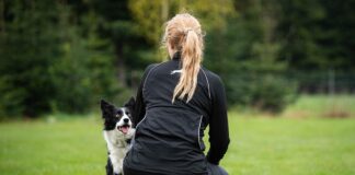 Luento koiran ohjaajana kehittyminen