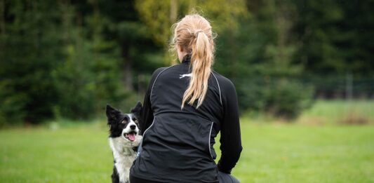 Luento koiran ohjaajana kehittyminen