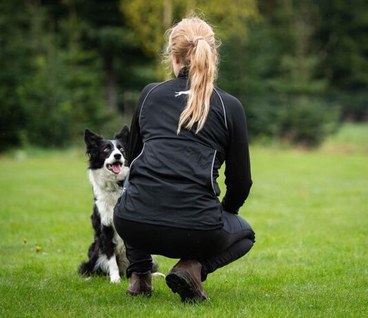 Luento koiran ohjaajana kehittyminen
