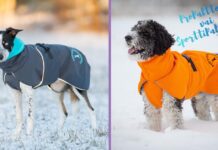 SporttiPalttoo vs. ProPalttoo – kumpi talvitakki sopii koirallesi?