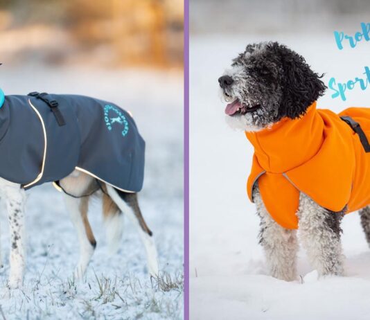 SporttiPalttoo vs. ProPalttoo – kumpi talvitakki sopii koirallesi?