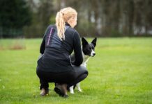 Kisajännitys, luento