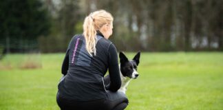 Kisajännitys, luento