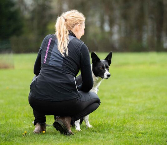 Kisajännitys, luento