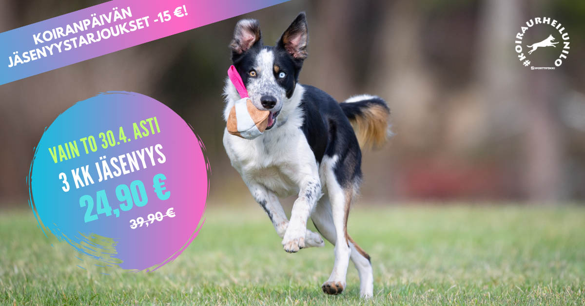 Koiranpäivä jäsenyyskampanja 2026